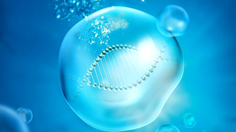 细胞工厂质检标准：揭秘生物制药品质保障的关键