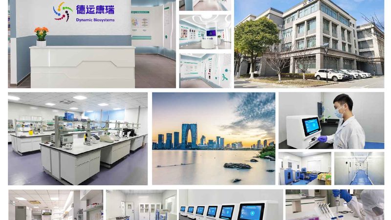 肿瘤细胞培养基的选择：关键因素与误区解析**