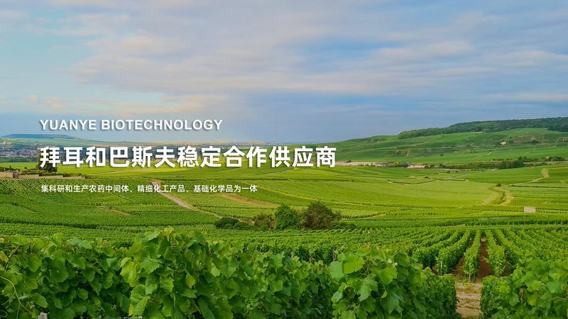 引物合成：生物科技研究中的关键一环**