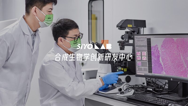 基因检测与基因编辑：揭秘其流程步骤