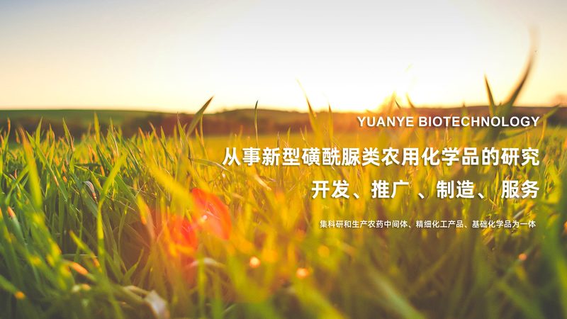 细胞工厂定制流程：揭秘生物制药的关键步骤**