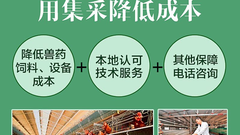 如何甄别优质CRO优化公司：关键指标与避坑指南